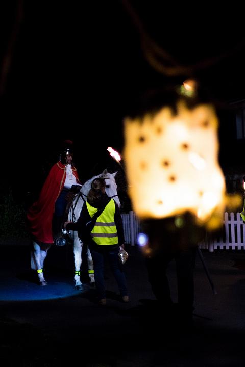 Bild: 20221112-190424.jpg